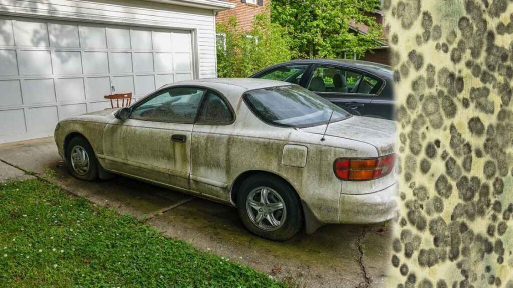 How to Clean Mold Out of a Car: A Comprehensive Guide